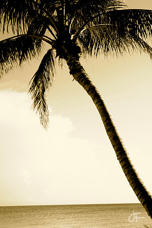 Southern Beach