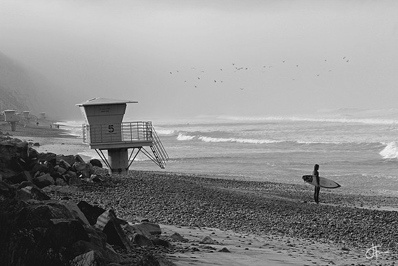 Misty Morning at Torrey Pines Beach