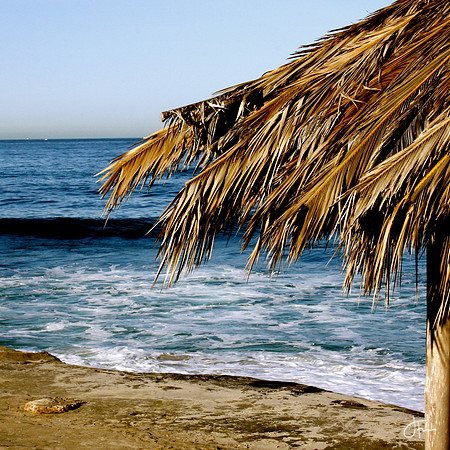 Windansea