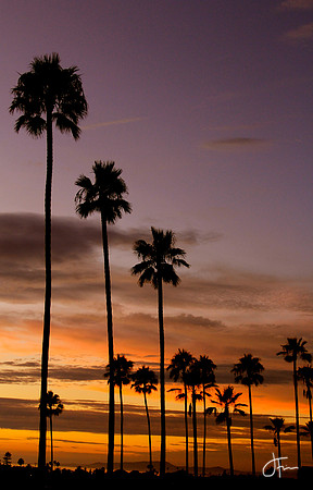 Encinitas Tre Line Vertical