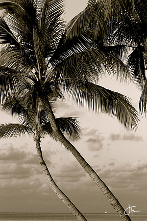 Key West  Sky